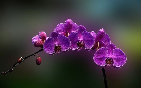 菏泽自助餐厅在哪里