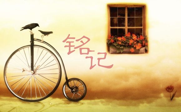 石家庄胡大怎么样